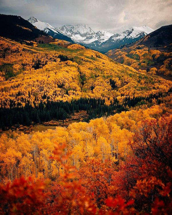 8. "Colorado'daki sonbahar manzarası hayatımda gördüğüm en iyi manzara olabilir."