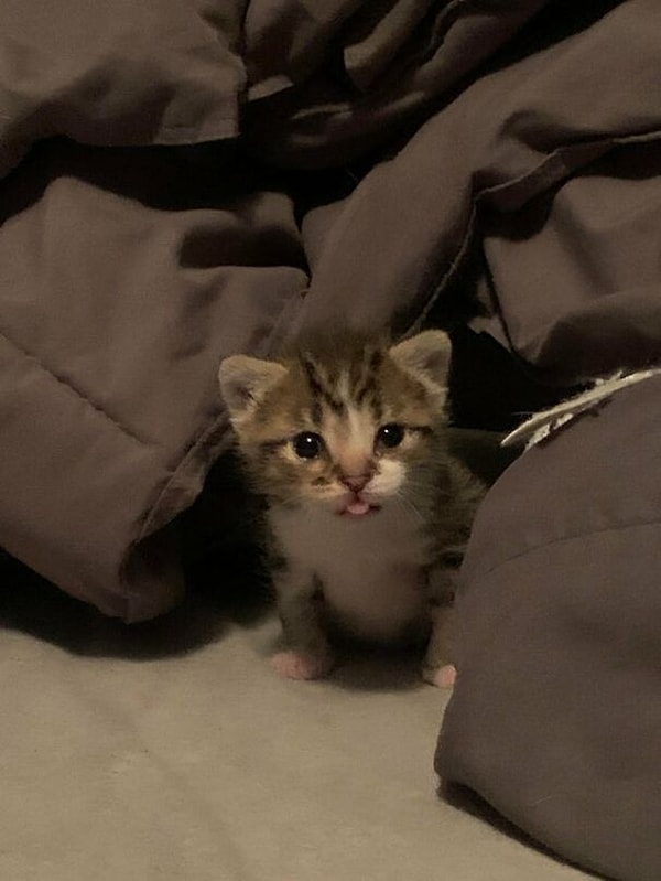 4. Маленький *блюп*