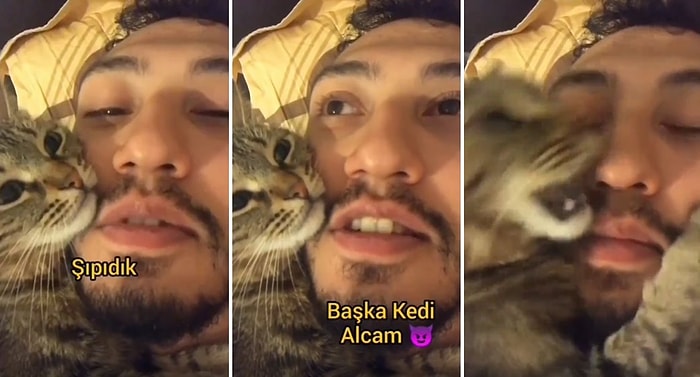 İnsan Dostunun 'Başka Kedi Alacağım, Seni Sokağa Atacağım' Sözlerine Sinirlenen Kedi