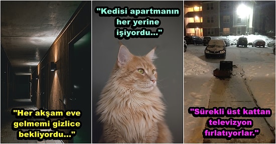 Anlattıkları Hikayeleriyle "Ev Alma Komşu Al" Atasözünün Hakkını Veren, Komşu Terörüne Uğramış 15 İnsan