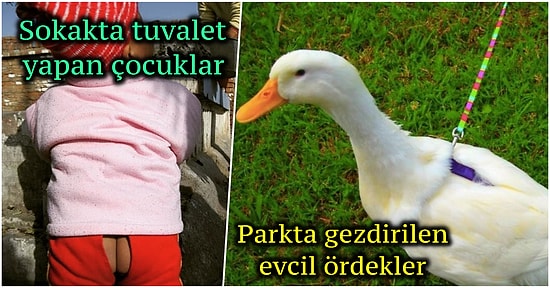 Dünya Üzerinde Sadece Çin'de Karşılaşabileceğiniz Birbirinden Fantastik 22 Durum