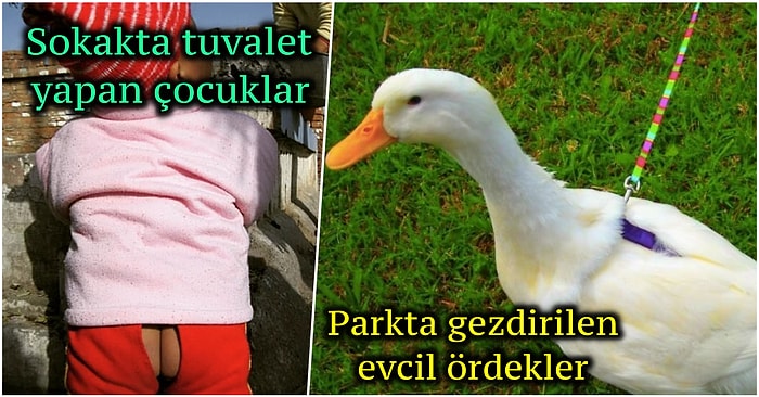 Dünya Üzerinde Sadece Çin'de Karşılaşabileceğiniz Birbirinden Fantastik 22 Durum