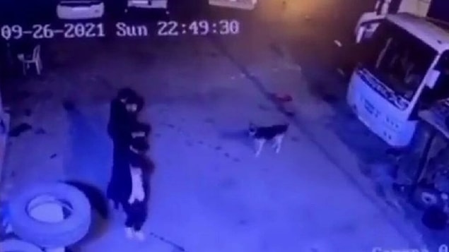 Halay Çekerek Köpekten Kaçtılar