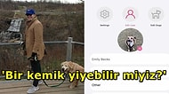 Patinizle Sağa Kaydırabilirsiniz! Köpeğine Arkadaş Arayan Bir Adam Köpek Tinder'ı Pawmates'i Kurdu