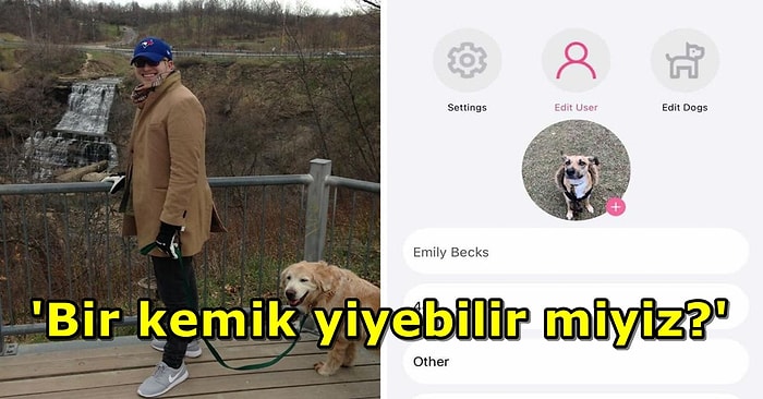 Patinizle Sağa Kaydırabilirsiniz! Köpeğine Arkadaş Arayan Bir Adam Köpek Tinder'ı Pawmates'i Kurdu