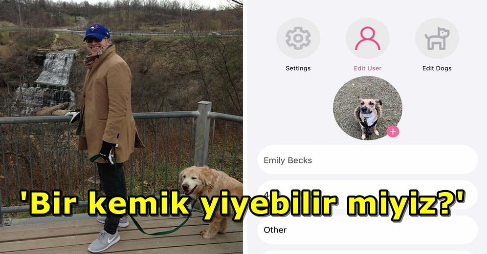 Patinizle Sağa Kaydırabilirsiniz! Köpeğine Arkadaş Arayan Bir Adam Köpek Tinder'ı Pawmates'i Kurdu