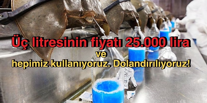 Kandan Pahalı! Hepimizin Kullandığı Dünyanın En Pahalı 8. Sıvısı Kapitalizmin Maymunu Olduğumuzun İspatı