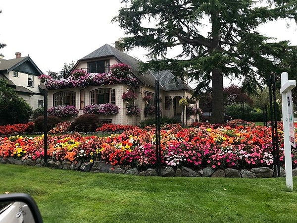 3. Проезжал мимо и увидел это. Через фото не передать всю ту красоту