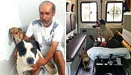Две верные собаки отказались покидать карету скорой помощи, чтобы быть рядом с хозяином, и персонал решает их взять с собой