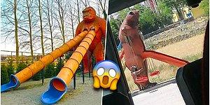 The Simplest Way To Ruin A Childhood: 19 Horrific Playgrounds Sworn to Scare Children
