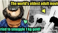 15 Surprising Facts About Life That We Claim You Haven't Seen or Heard Anywhere Before