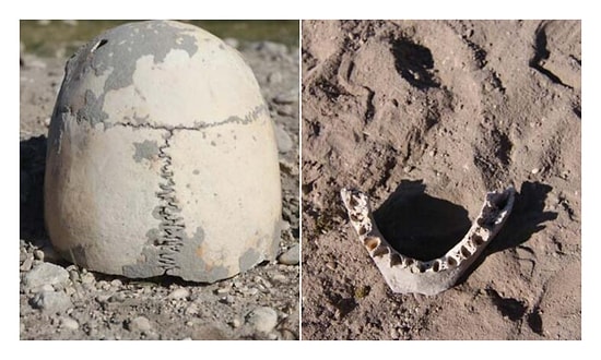 Demir Çağı'na Ait Olabilir: Van'da İnsan Kemikleri Bulundu