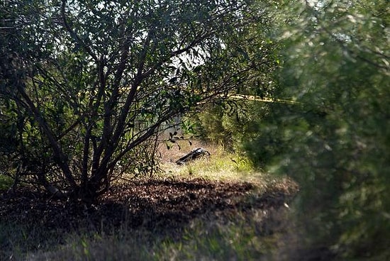 Koronavirüse Yakalanınca Babasının Evden Kovduğu Gencin Cesedi Bulundu