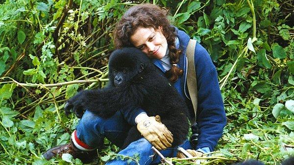 14. Gorillas in the Mist: The Story of Dian Fossey (1988)