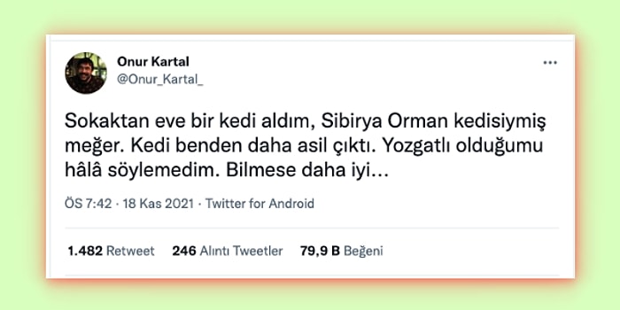 Kütüphanede Yargı Dağıtan Kadından Dedeyle İletişim Örneği Verene Son 24 Saatin Viral Tweetleri