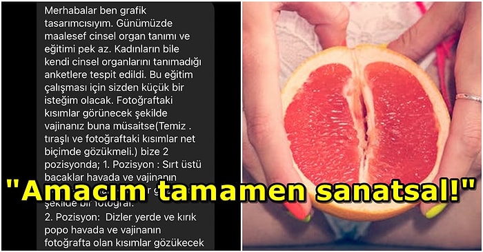 Vatana Millete Kadın Cinsel Organının Nasıl Göründüğü Tasvir Etmek İçin Nude İsteyen Grafik Tasarımcı