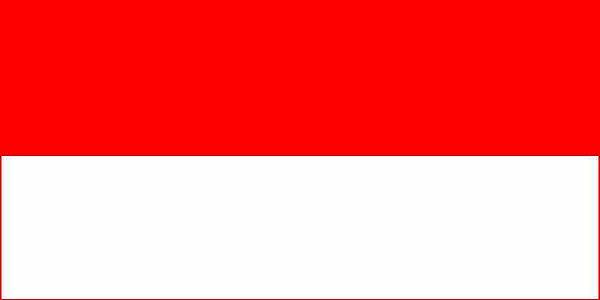 8. Endonezya
