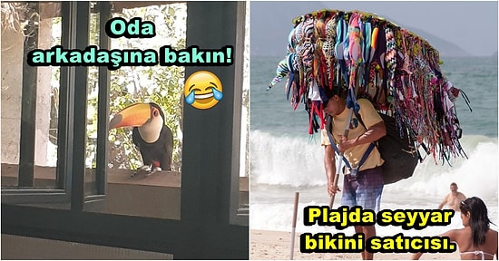 Tuhaflıklar Ülkesi Brezilya'da Gezerken Sizi Her An Gülümsetmeye Hazır Halde Bekleyen 17 Eğlenceli Manzara