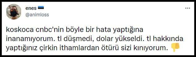 CNBC'nin Türk Lirası haberine gelen yorumlar: 👇