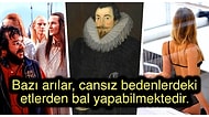 Öğrendikten Sonra Bilgi Dağarcığınızın Sınırlarını Zorlayacağınız Birbirinden İlginç Kültürel Bilgiler