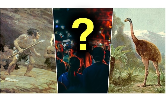 Dünyaya Hiç Gelmediğimiz Bir Senaryoda Neler Yaşanabileceği Bilim İnsanları Tarafından Açıklandı!