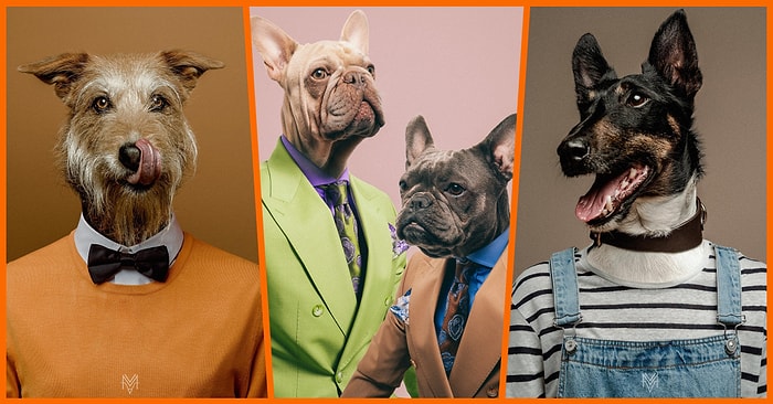 Hayvan Fotoğrafçılığında Yeni Bir Boyut! Gözünüzden Kalpler Çıkmasını Sağlayacak Fotoğraflar😍