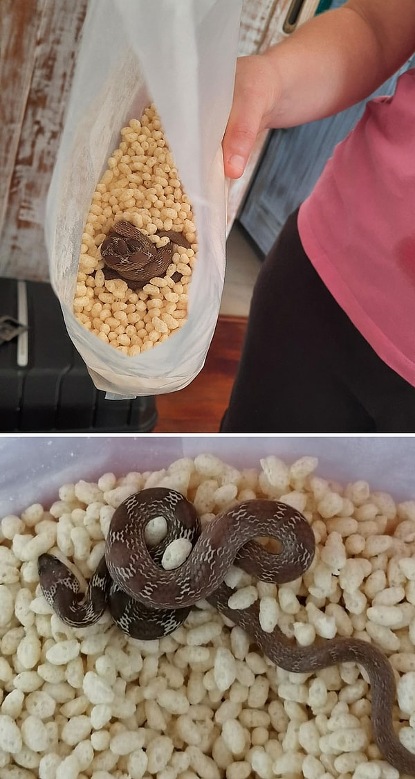 11. Угадайте, что сегодня у меня было на завтрак!