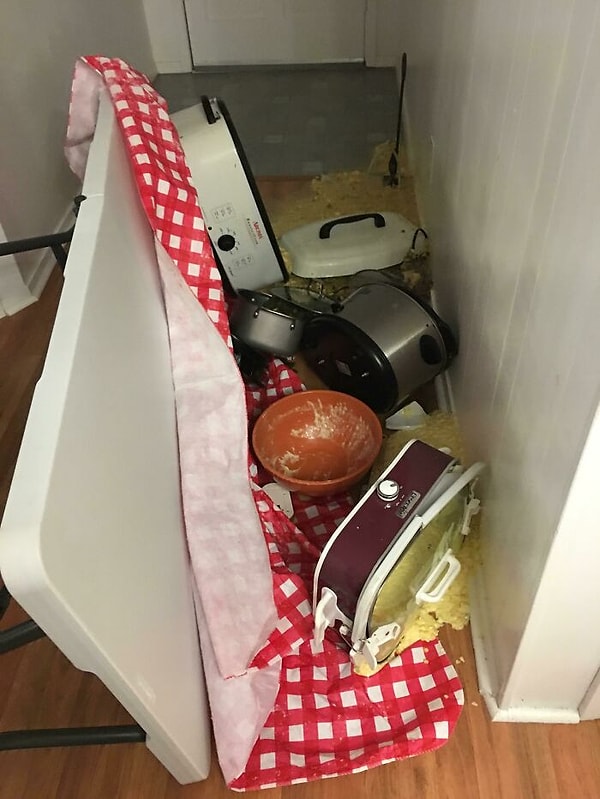 10. День "удался"