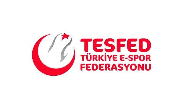 Türkiye’de Gençlik ve Spor Bakanlığı Spor Genel Müdürlüğü tarafından 2014 yılından beri e-sporcu lisansı verilmeye başlanmıştır. 2018 yılında ise Türkiye E-Spor Federasyonu kurulmuştur. E-sporcu olmak isteyen sporcular kurumlara başvuru yaptıktan sonra kabul edildikleri takdirde, “profesyonel oyuncu” unvanını alıyorlar.