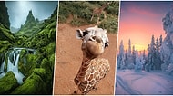 Doğa Tutkunlarının Severek Takip Edeceği 19 Büyüleyici Instagram Hesabı