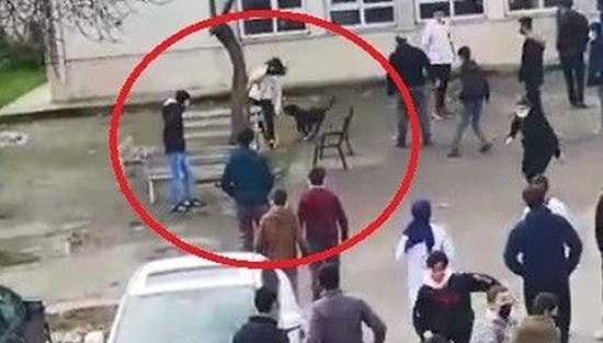 Okulun Bahçesine Giren Pitbull 5 Öğrenciyi Yaraladı