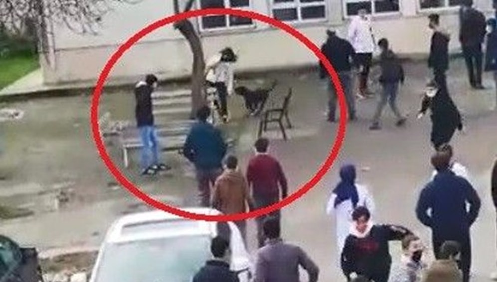 Okulun Bahçesine Giren Pitbull 5 Öğrenciyi Yaraladı