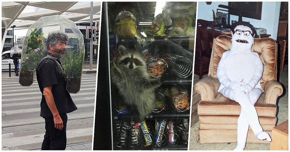 Görünce Uzun Süre Ekrana Bakıp Anlam Vermekte Zorlanacağınız 2021 Yılında Viral Olmuş En Acayip Fotoğraflar