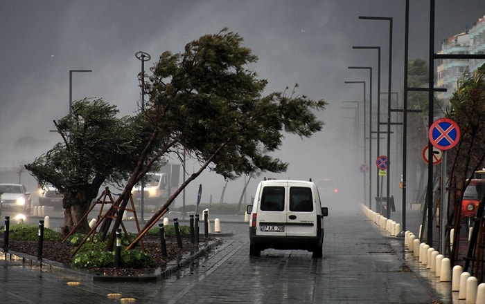 Antalya'da Fırtına: Dev Dalgalar Oluştu, Ağaçlar Devrildi