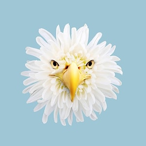 Altuğ Profil Resmi