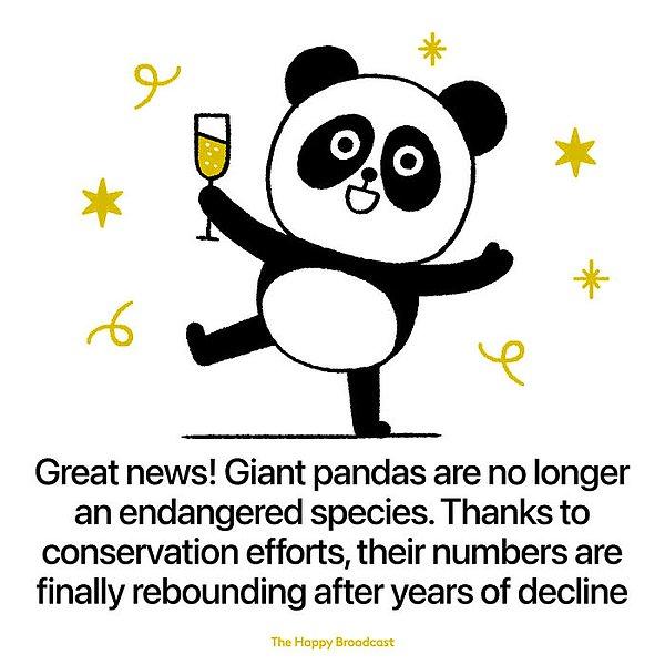 11. "Pandalar artık yok olma tehlikesinde değil. Yıllar sonra ilk defa nüfusları artıyor."