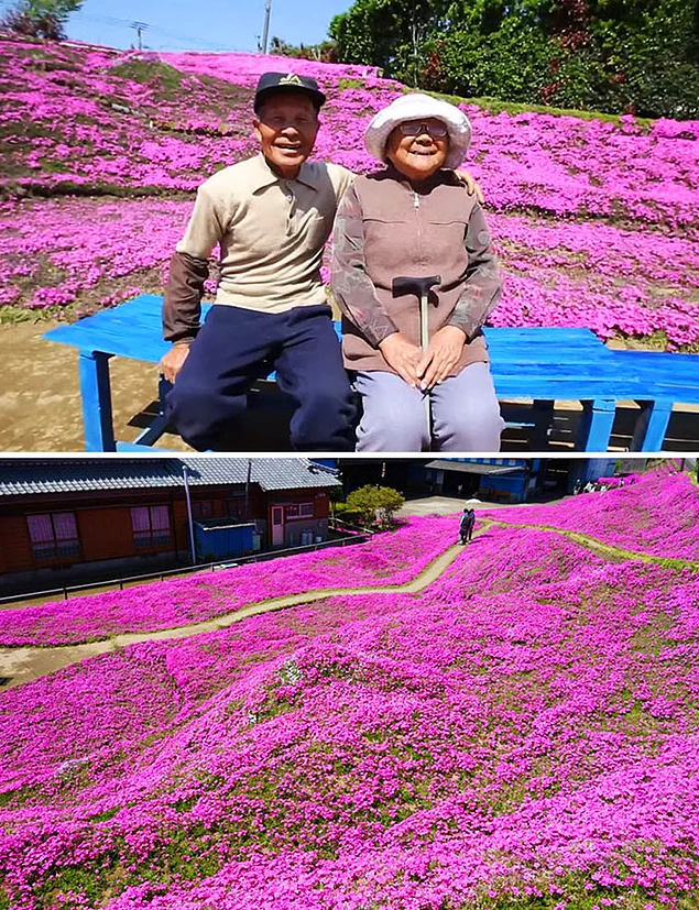 Муж потратил 2 года, сажая тысячи ароматных цветов, чтобы его слепая жена могла ощутить их аромат и выйти из депрессии