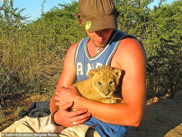Мужчина обнимается, играет и даже охотится с львицей, которую он спас 9 лет назад