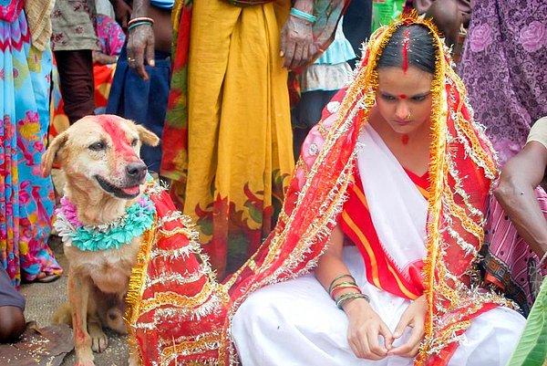 11. Hindistan'da köpeklerle evlenmek yasaldır.