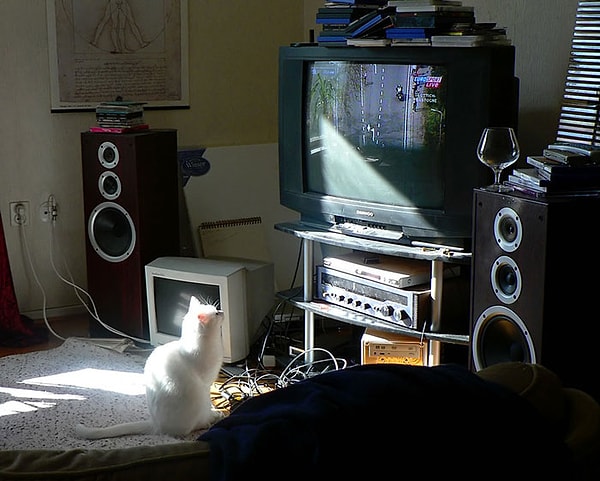 1. Быть дома у телевизора в определенное время, чтобы посмотреть свое шоу/мультфильм.