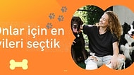 Yetişkin Köpeklerin Adeta Parmaklarını Yiyeceği Lezzetli 12 Islak Mama