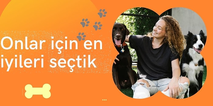 Yetişkin Köpeklerin Adeta Parmaklarını Yiyeceği Lezzetli 12 Islak Mama