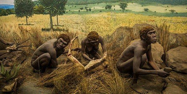Makale, insanlığın demografik tarihini anlamamızı ilerletmek için Neandertaller ve Denisovalılar üzerinde mevcut olan tüm yeni genetik verileri analiz ediyor.