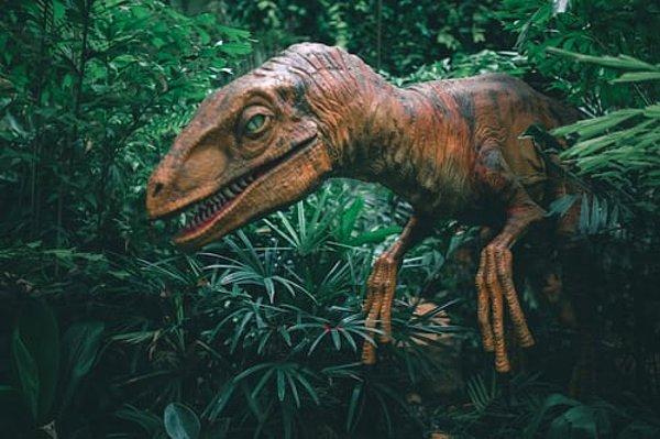 Sayılarının en fazla olduğu dönemde, dünyada kaç tane dinozor vardı?