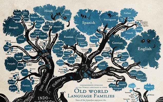 Araştırmacılar en iyi ihtimalle bu yüzyıl sonunda 1500 dilin yok olacağını öngörüyor.