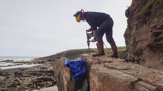 İngiltere'de Dünyanın En Büyük Kırkayak Fosili Bulundu