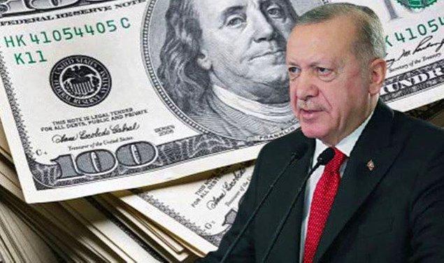 'Bir kez daha anladık ki Türkiye dolarla yaşayacak ülke değildir'