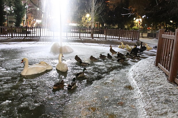 ankara nin simgelerinden kugulu park buz tuttu