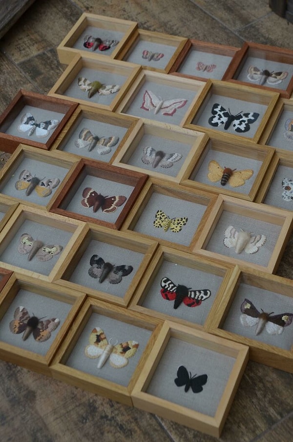 12. Вышитая энтомологическая коллекция