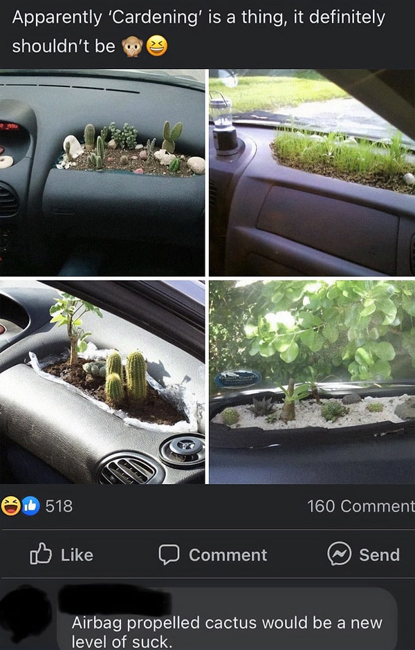 1. Садоводство в машине, что может пойти не так